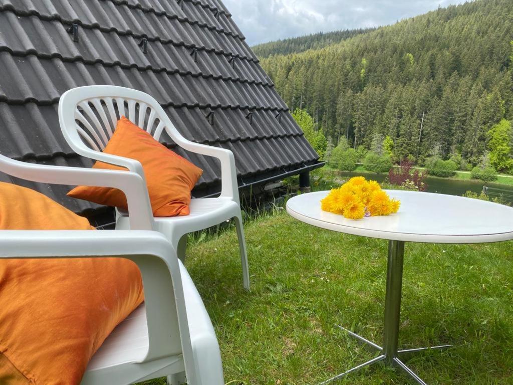 Haus Adler - Komplettes Ferienhaus Am Badesee Erzgrube Kültér fotó