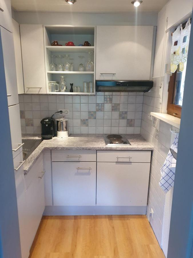 Haus Adler - Komplettes Ferienhaus Am Badesee Erzgrube Kültér fotó