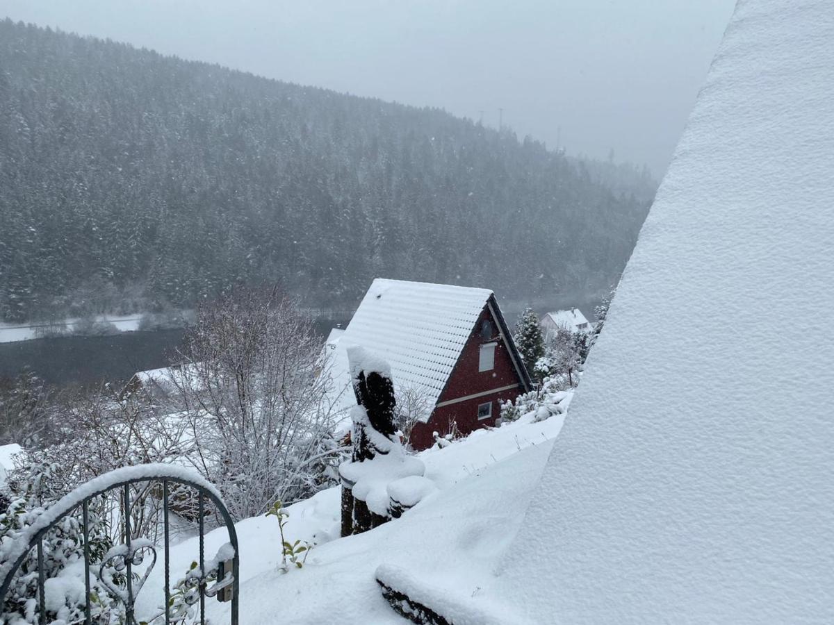 Haus Adler - Komplettes Ferienhaus Am Badesee Erzgrube Kültér fotó