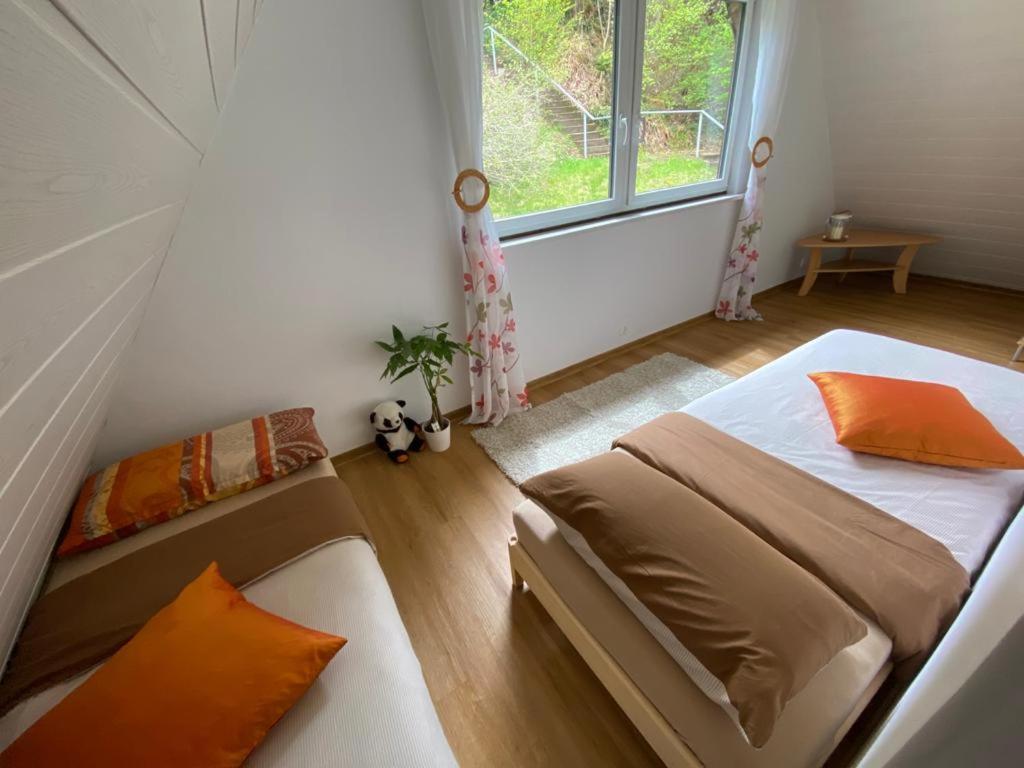 Haus Adler - Komplettes Ferienhaus Am Badesee Erzgrube Kültér fotó