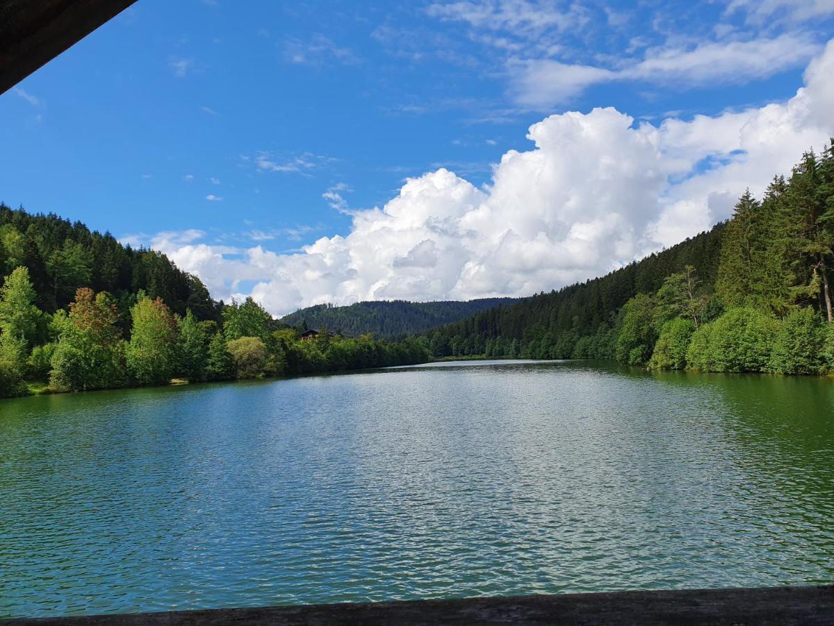 Haus Adler - Komplettes Ferienhaus Am Badesee Erzgrube Kültér fotó